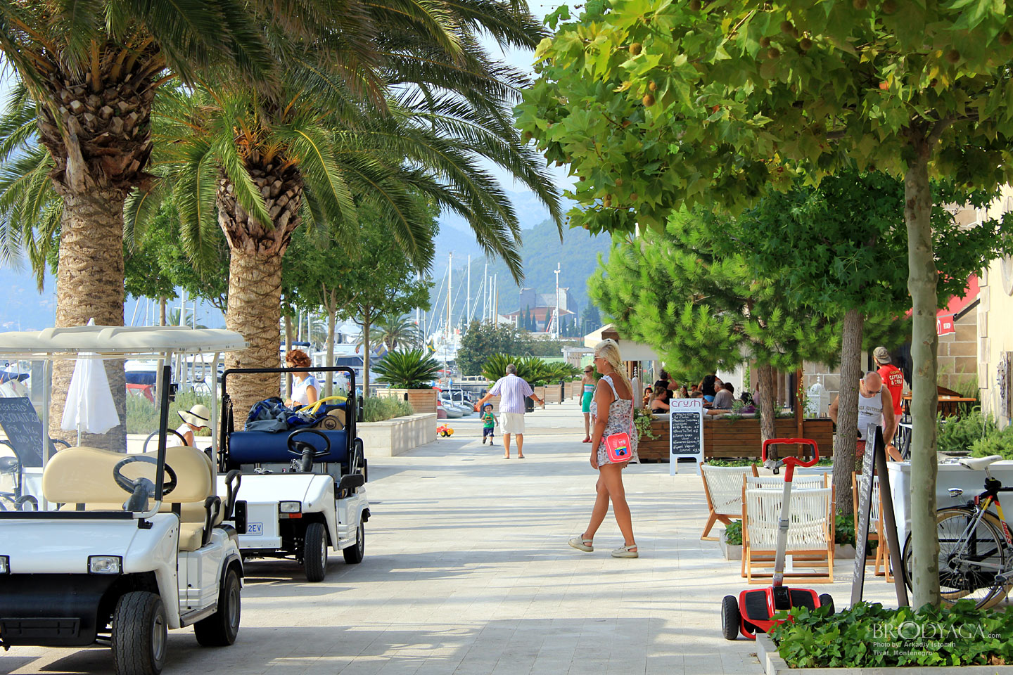 Tivat
